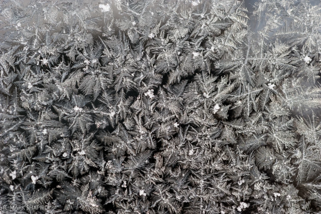 Elements-Window Frost-147