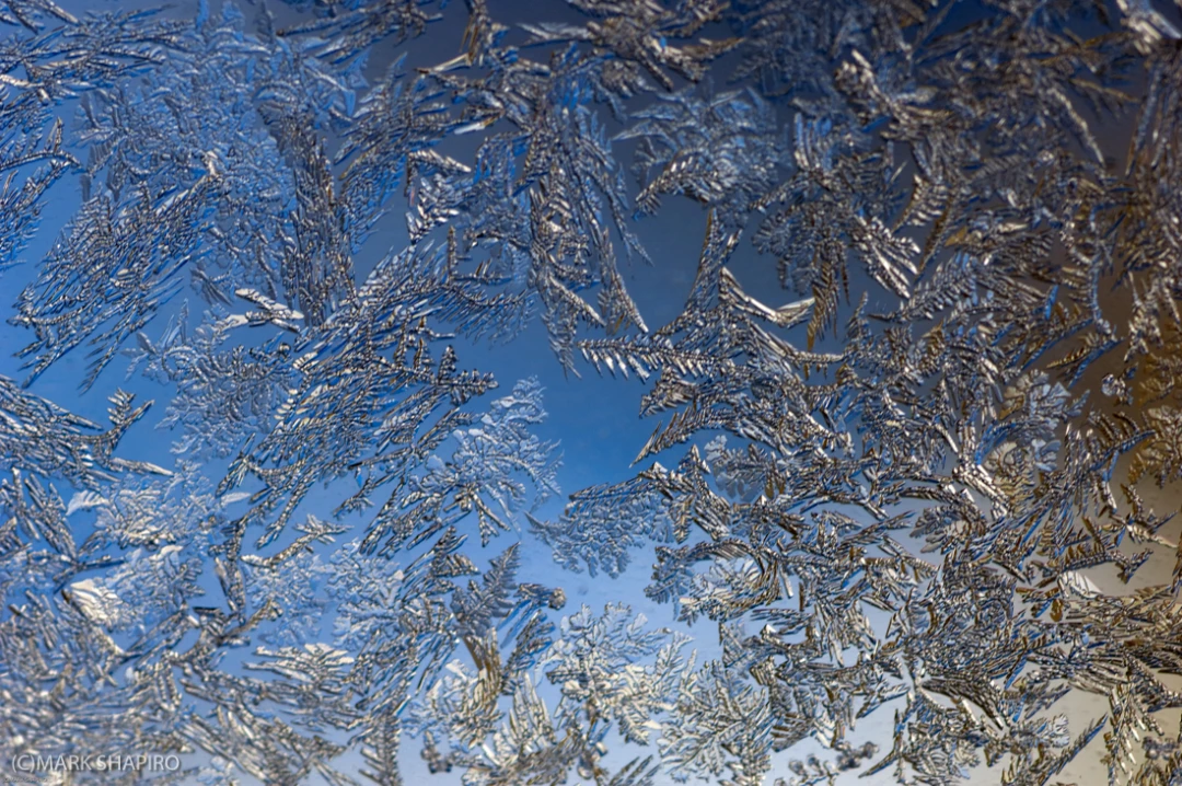 Elements-Window Frost-15