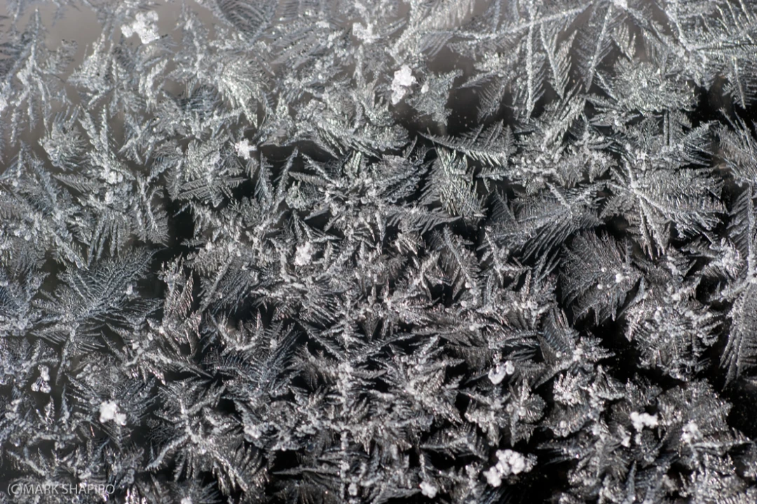 Elements-Window Frost-153