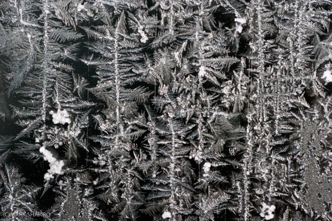 Elements-Window Frost-154