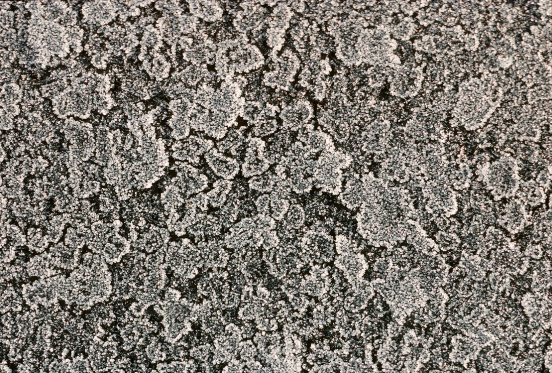 Elements-Window Frost-160