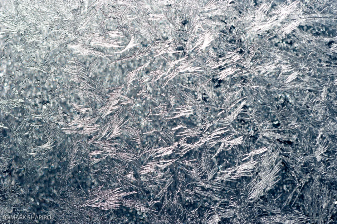 Elements-Window Frost-166