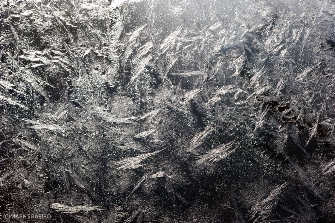 Elements-Window Frost-168