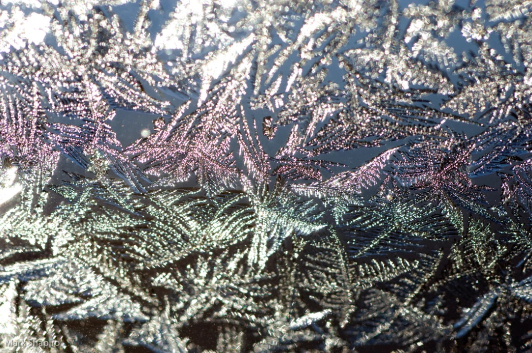 Elements-Window Frost-17