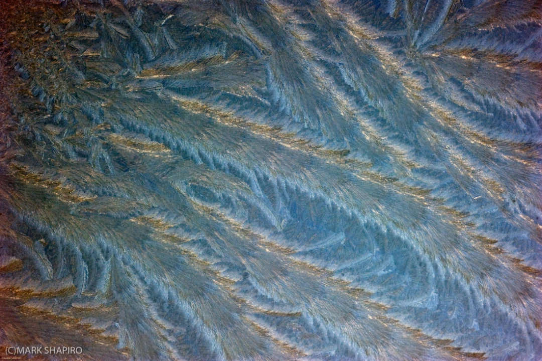 Elements-Window Frost-175