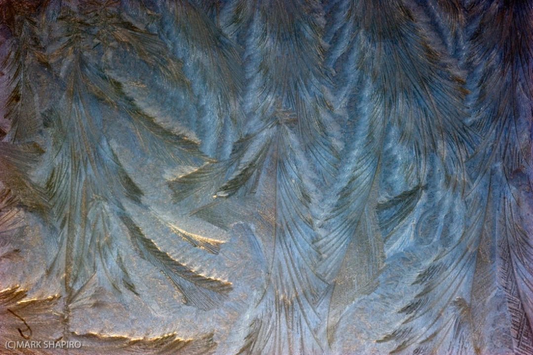 Elements-Window Frost-176