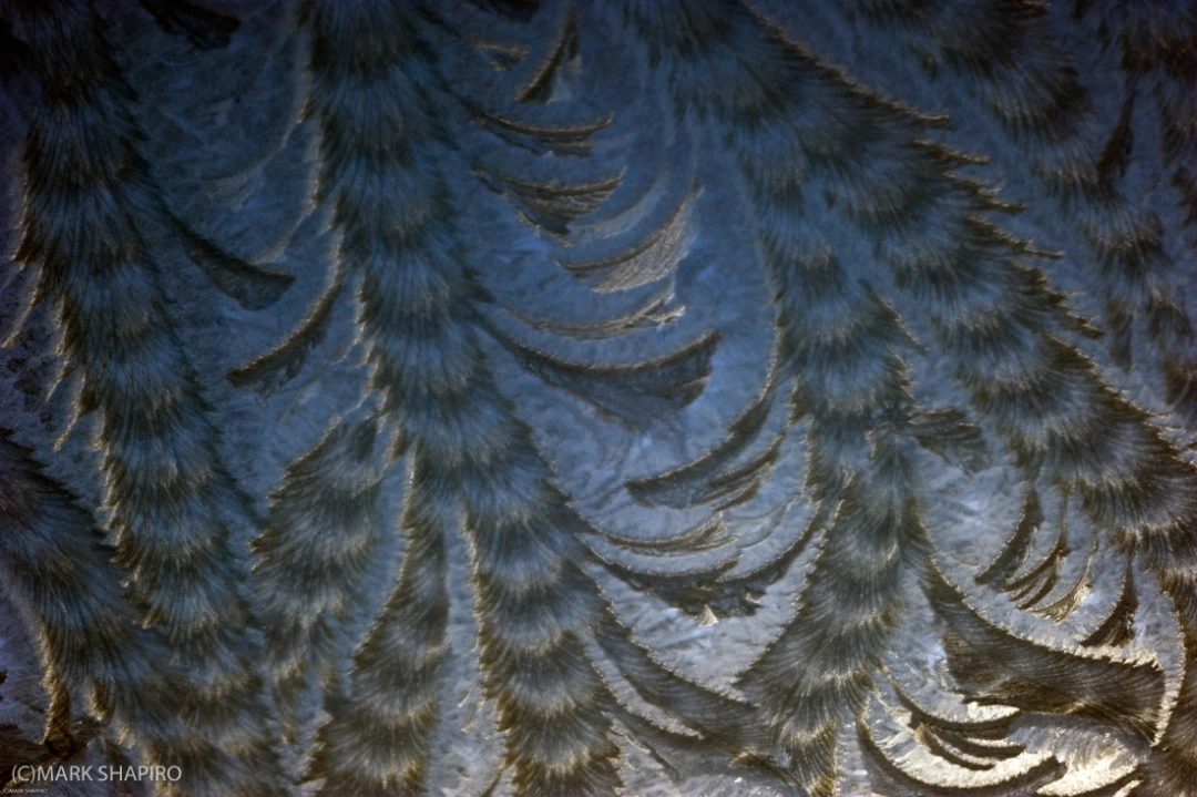 Elements-Window Frost-177