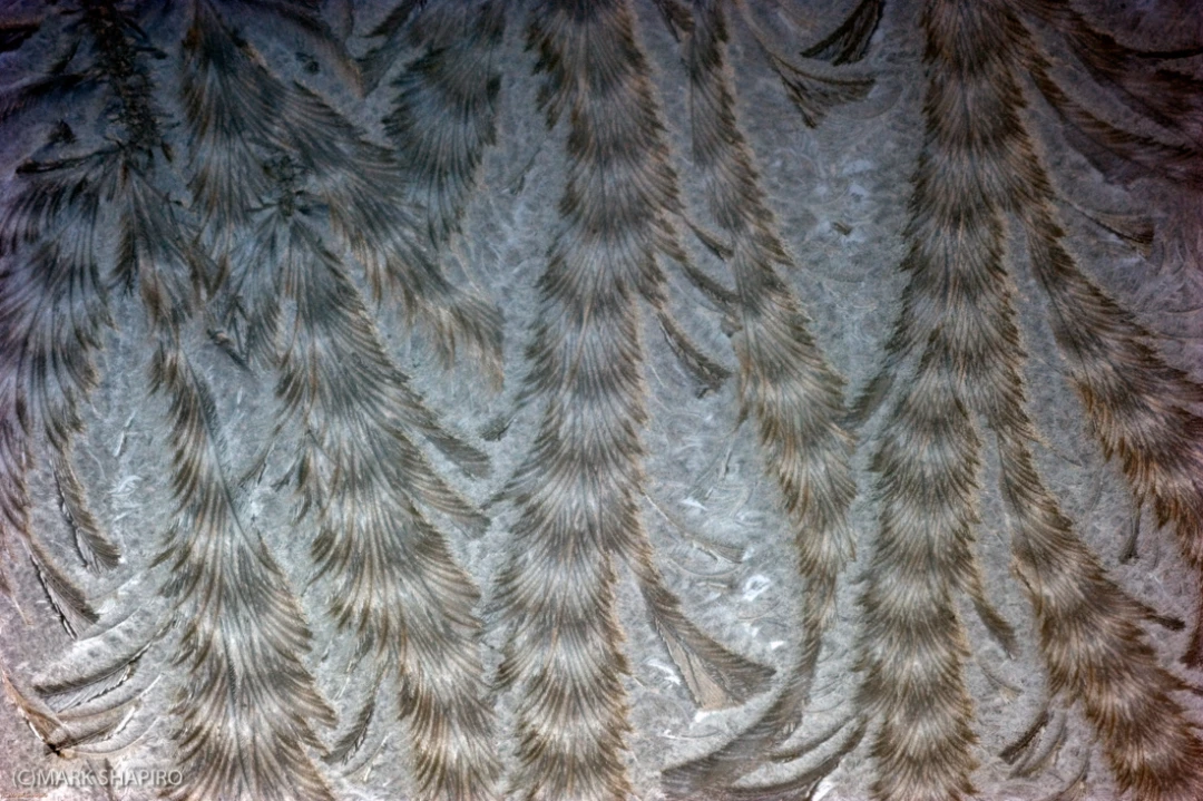 Elements-Window Frost-179