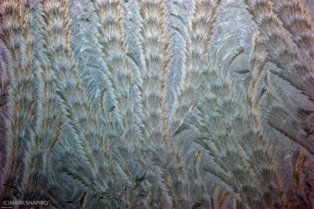 Elements-Window Frost-180