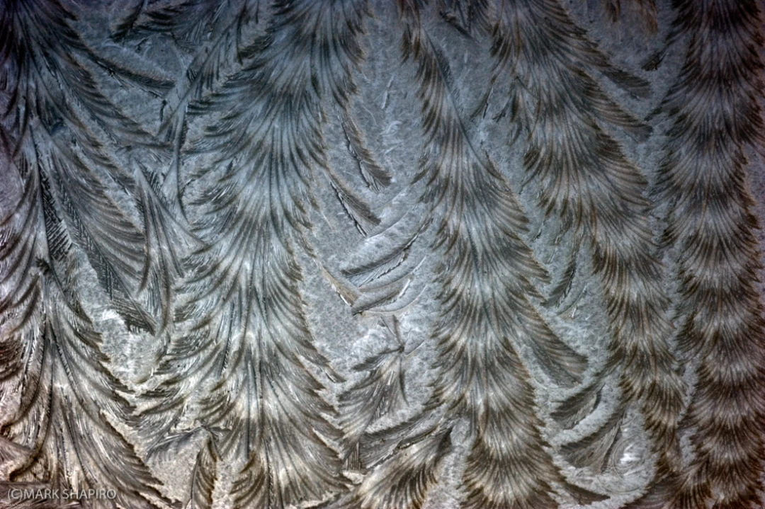 Elements-Window Frost-181