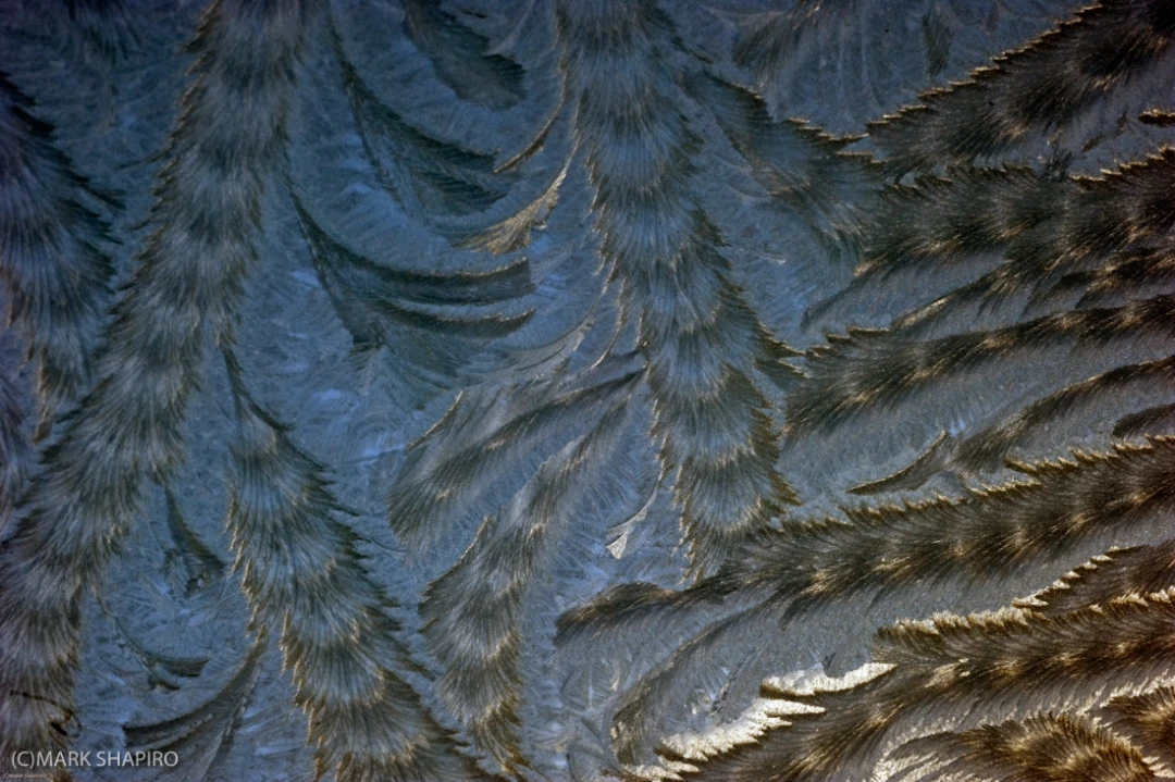 Elements-Window Frost-184