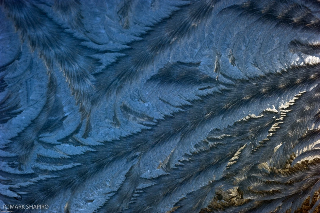 Elements-Window Frost-185