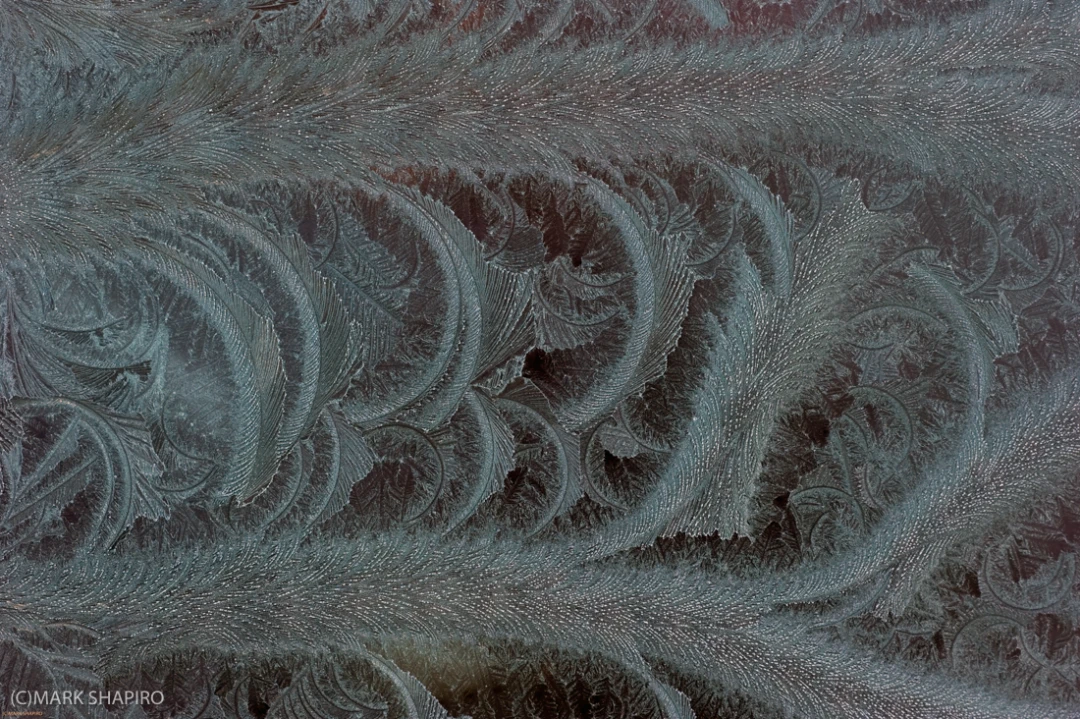 Elements-Window Frost-187