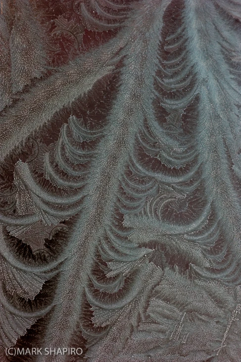 Elements-Window Frost-188