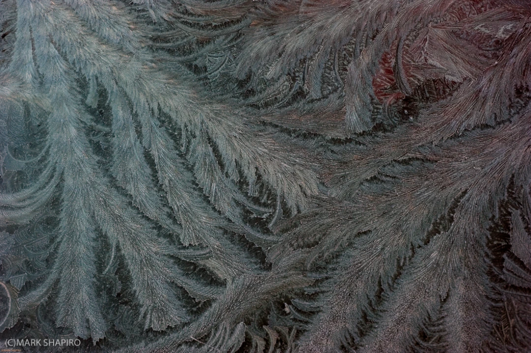Elements-Window Frost-189