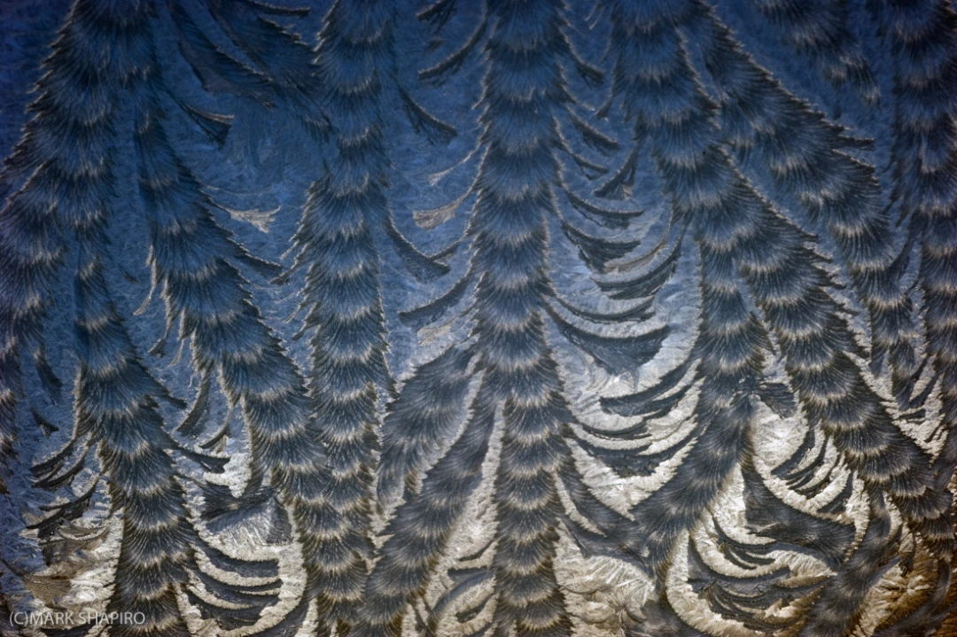 Elements-Window Frost-191