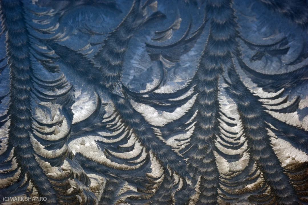 Elements-Window Frost-194