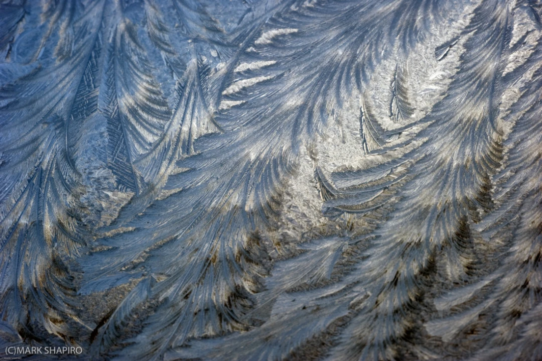 Elements-Window Frost-195