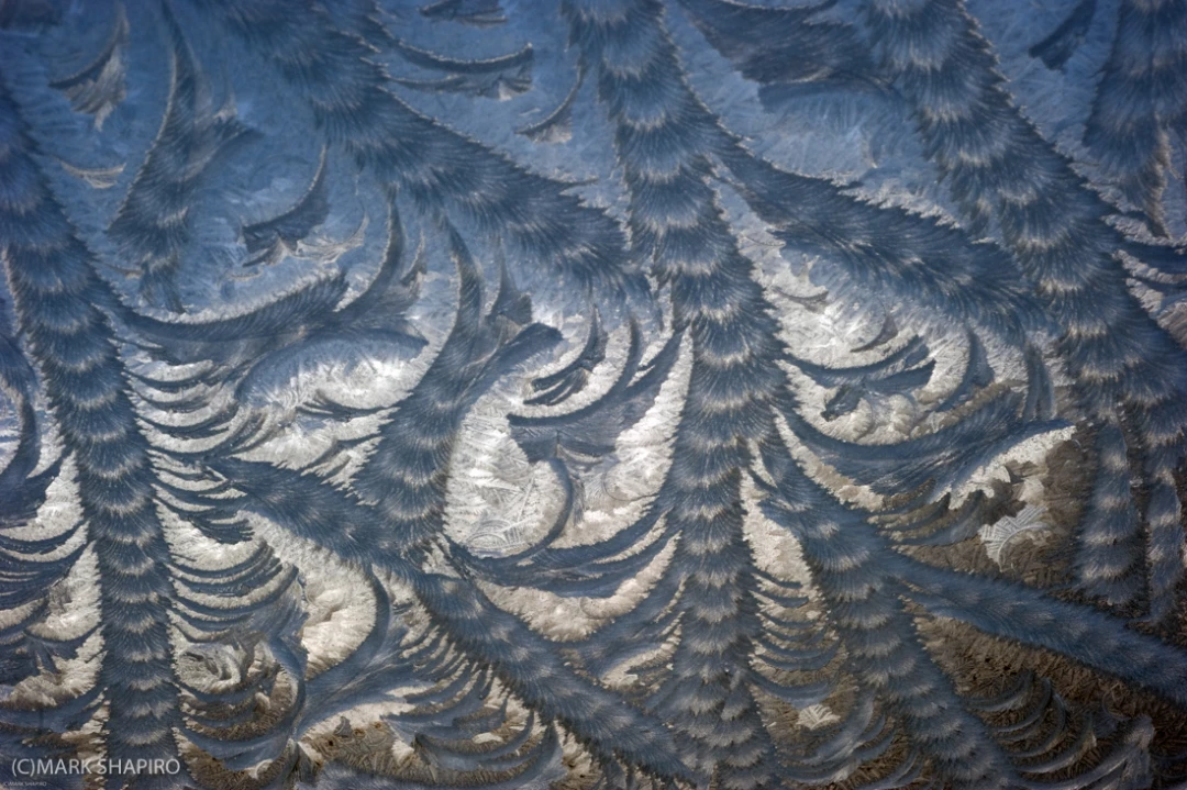 Elements-Window Frost-196