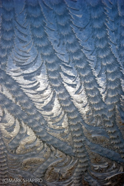 Elements-Window Frost-197