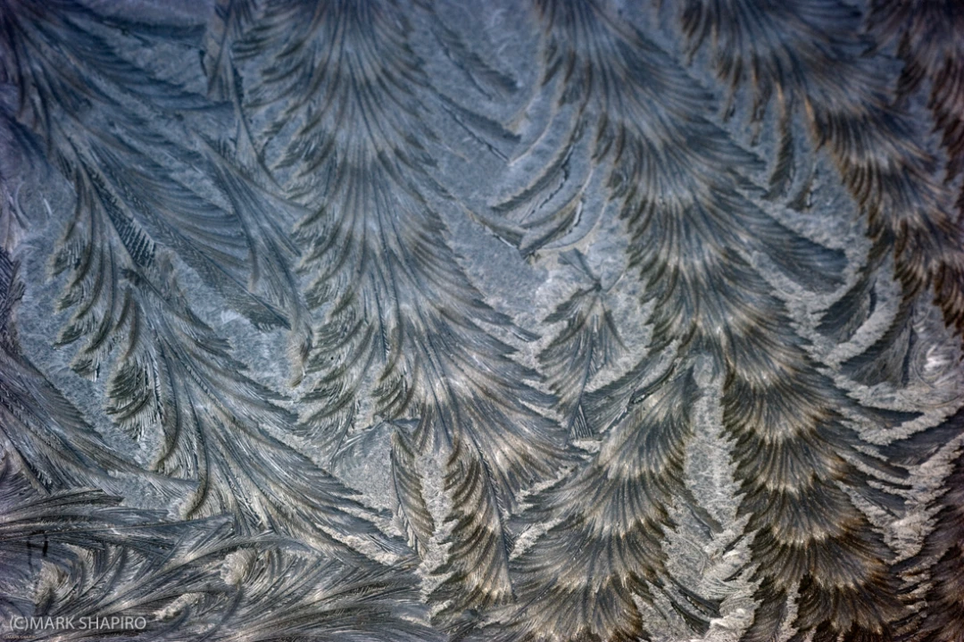 Elements-Window Frost-199