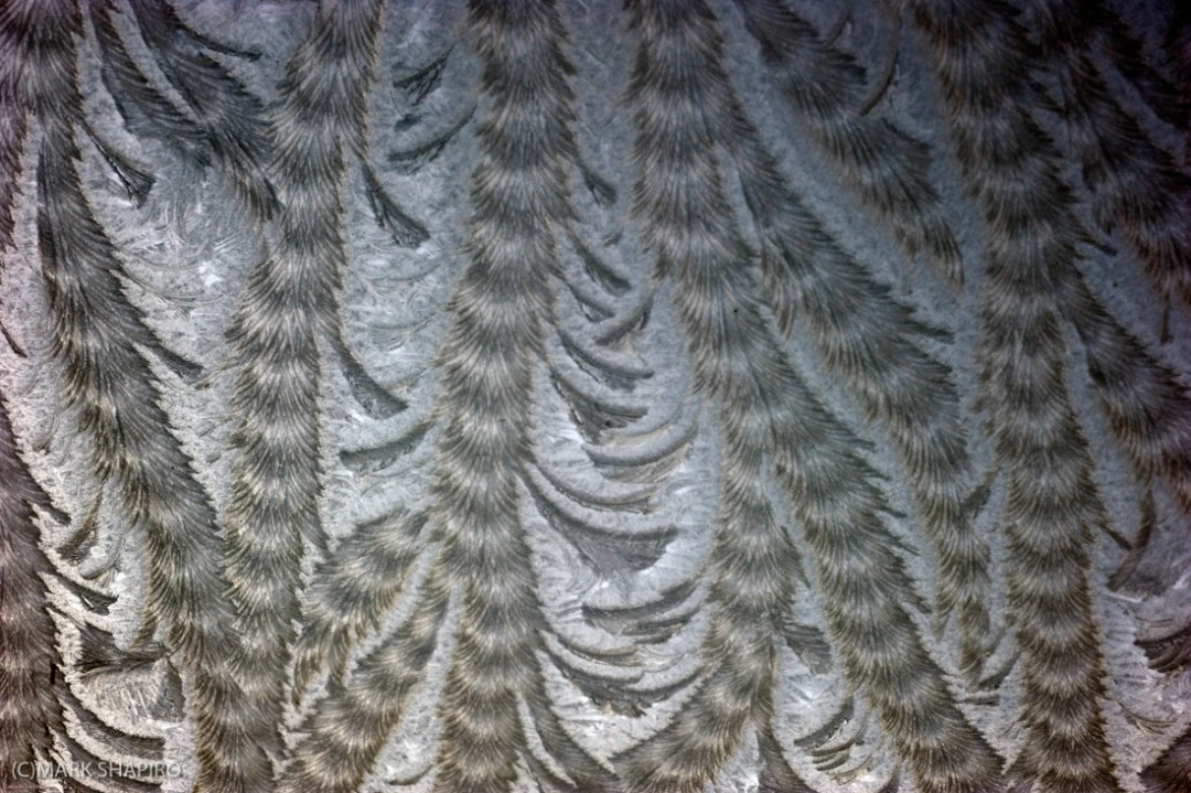 Elements-Window Frost-203
