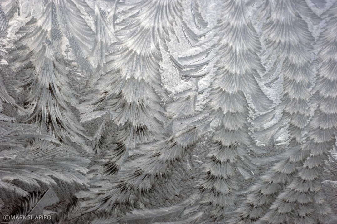 Elements-Window Frost-204