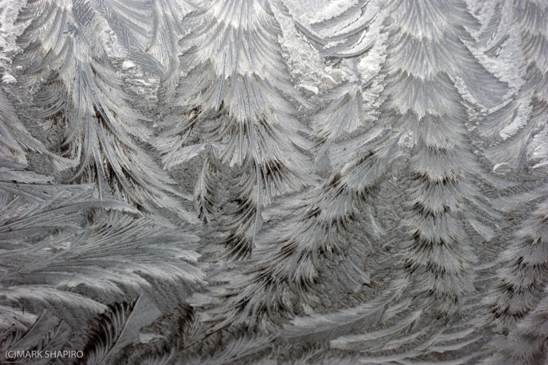 Elements-Window Frost-206