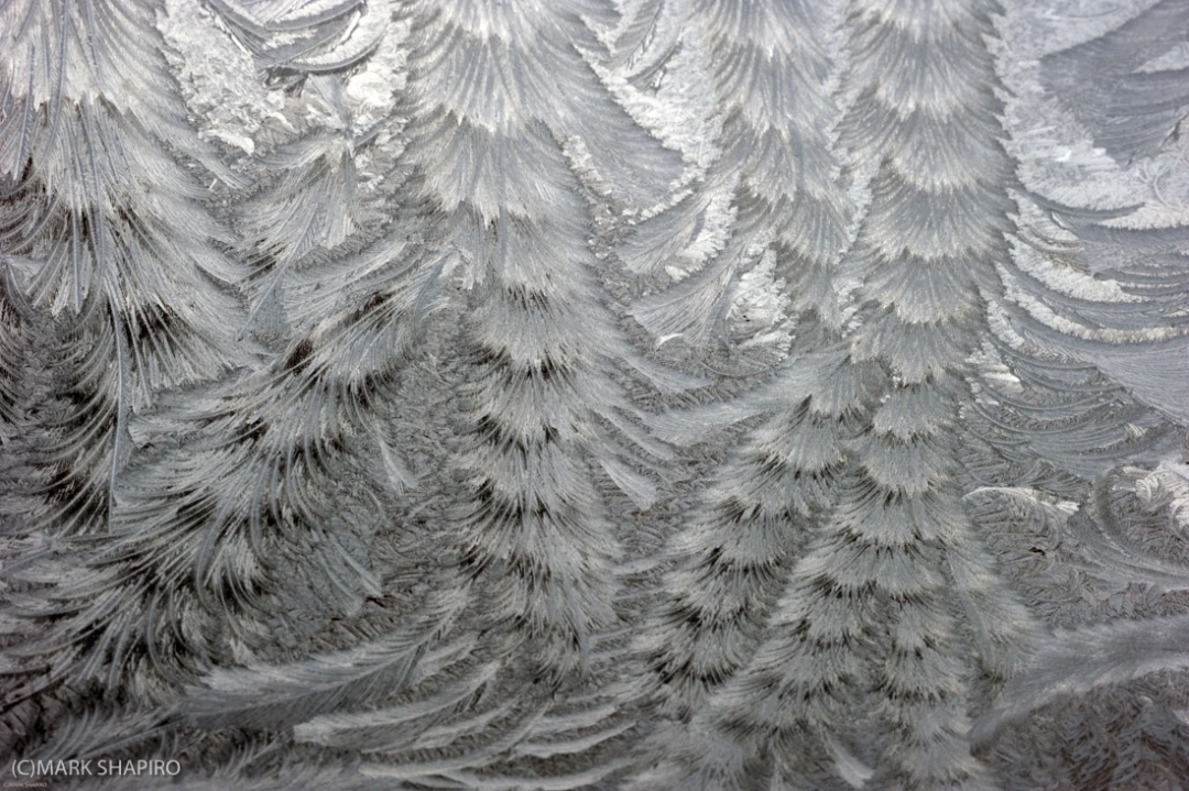 Elements-Window Frost-208