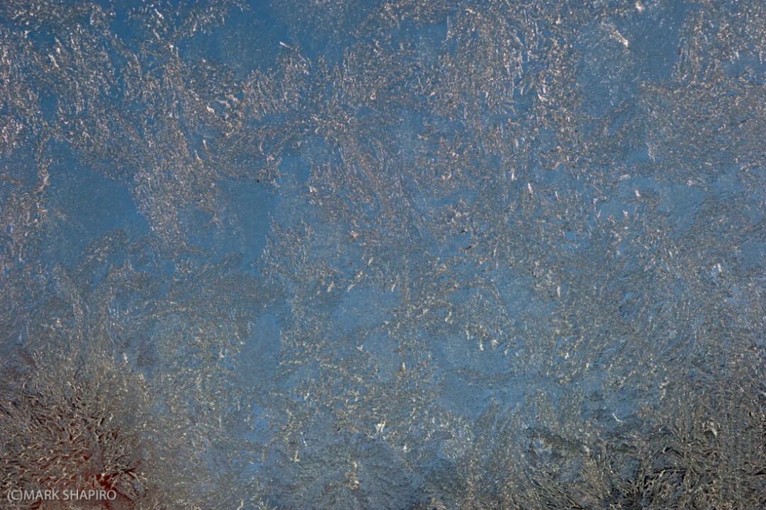 Elements-Window Frost-210