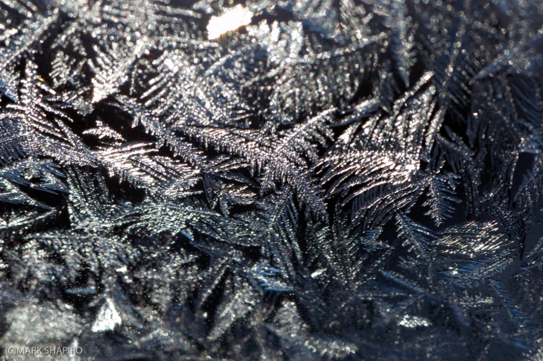 Elements-Window Frost-21