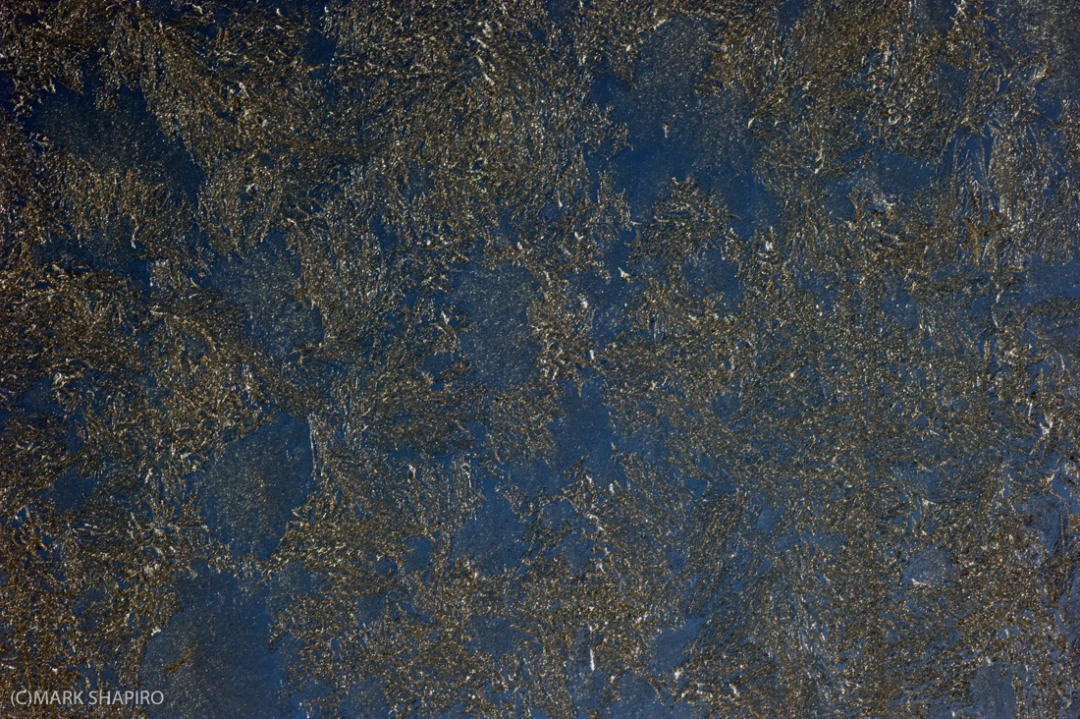 Elements-Window Frost-213
