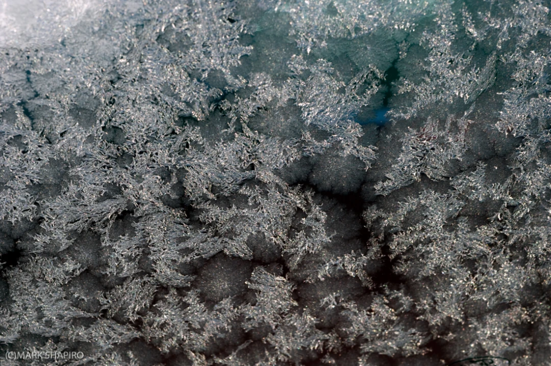 Elements-Window Frost-216