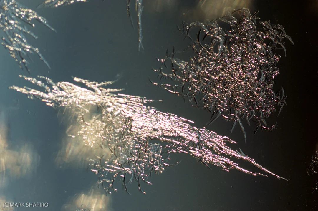 Elements-Window Frost-2