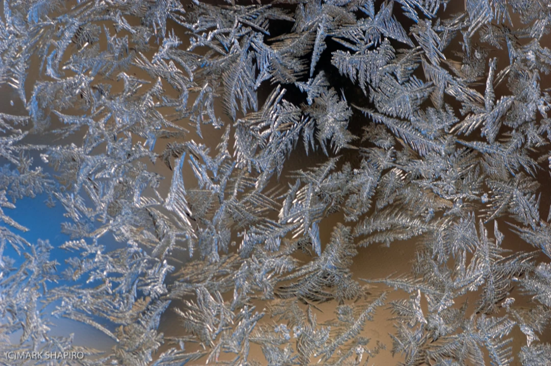 Elements-Window Frost-22