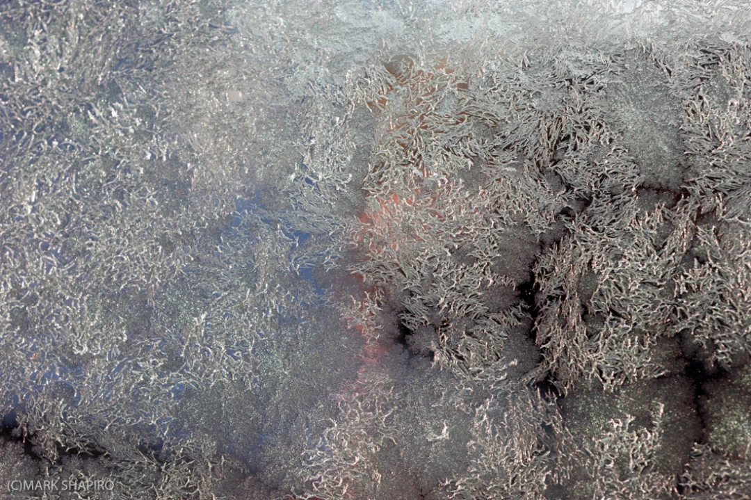 Elements-Window Frost-222