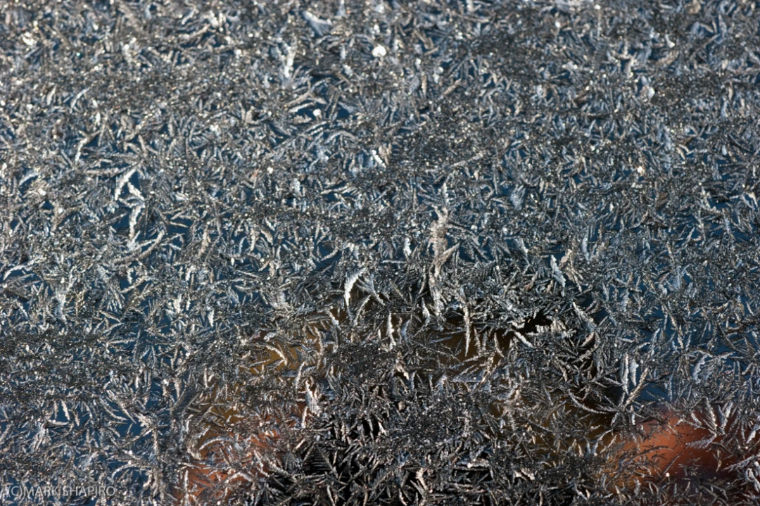 Elements-Window Frost-227