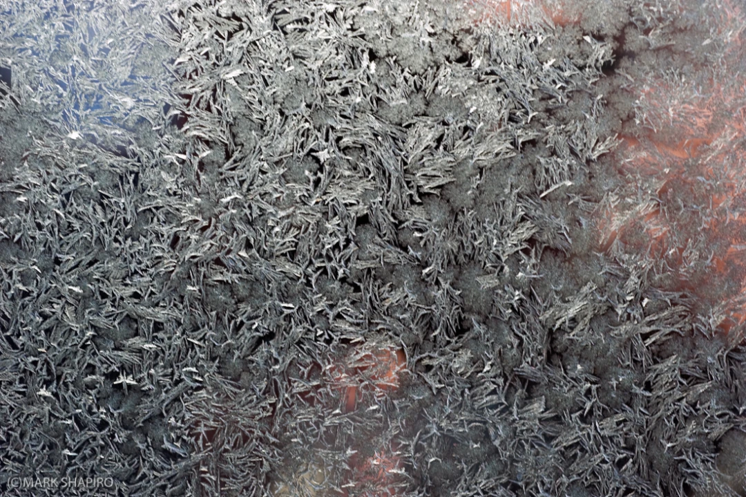 Elements-Window Frost-234