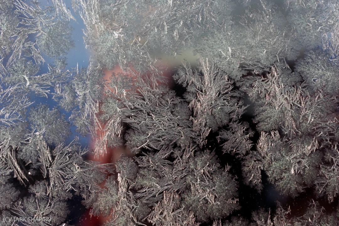Elements-Window Frost-237