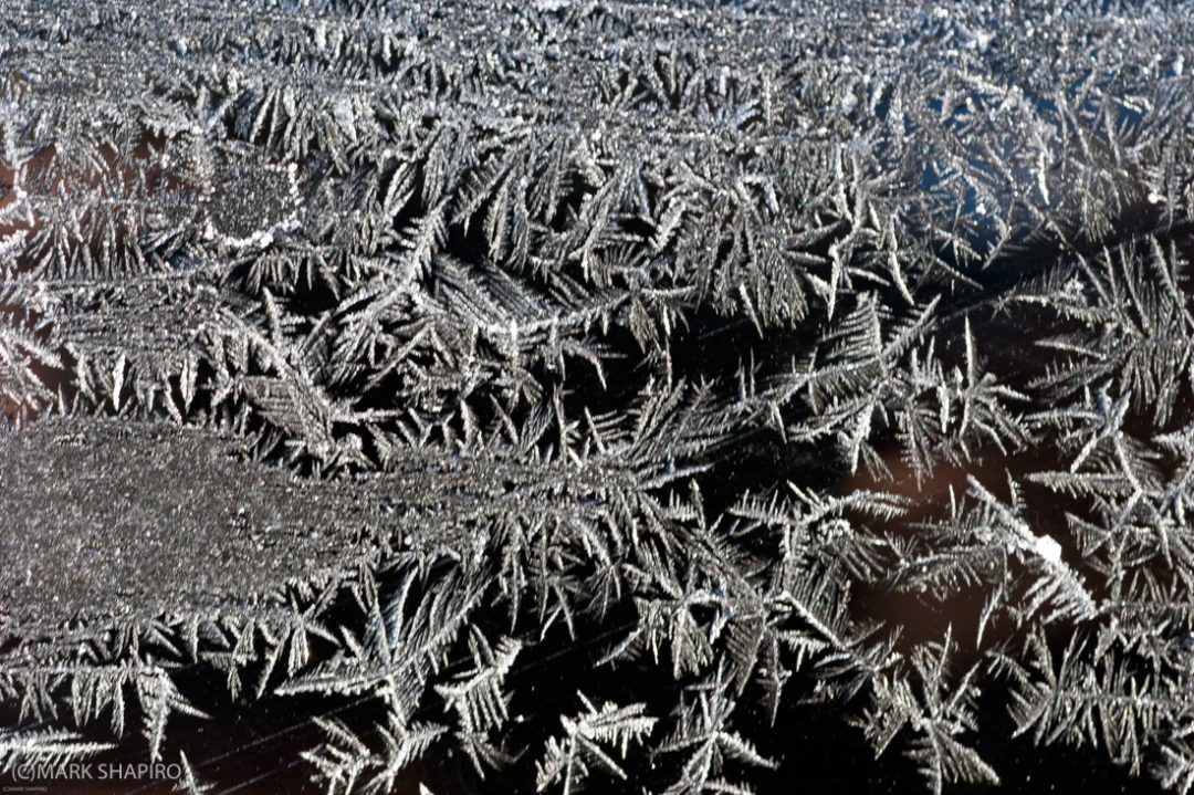 Elements-Window Frost-239