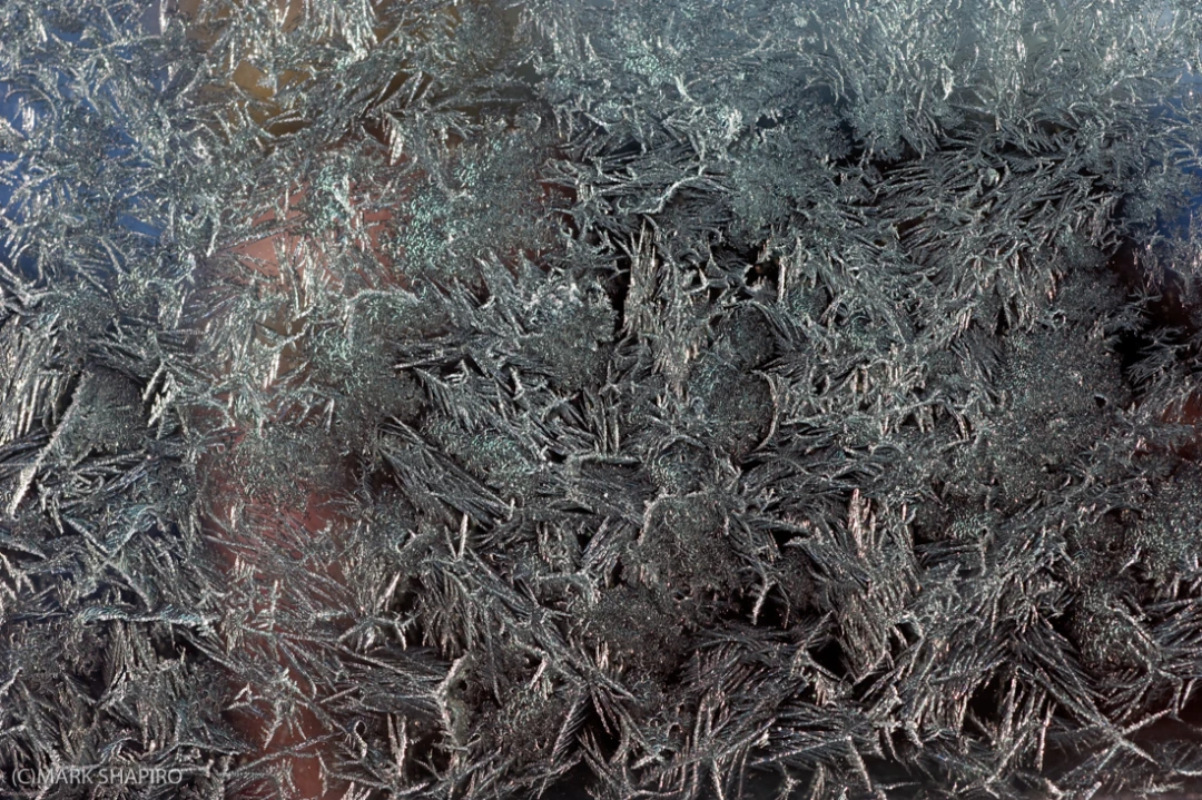 Elements-Window Frost-242