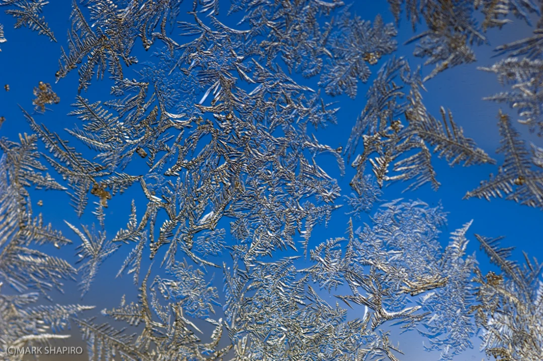 Elements-Window Frost-25