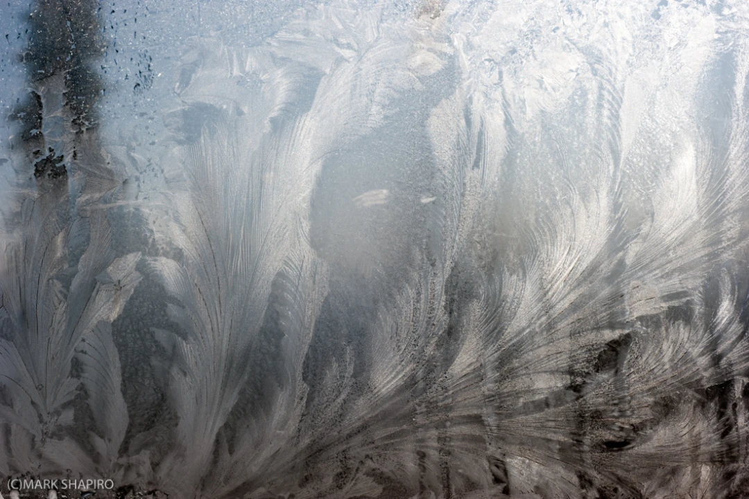 Elements-Window Frost-255