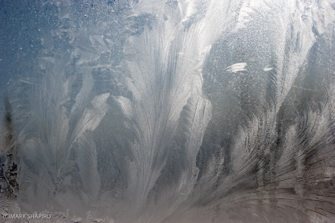 Elements-Window Frost-259
