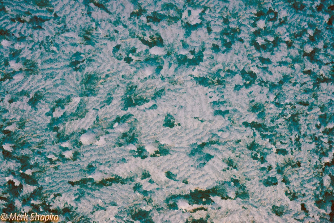 Elements-Window Frost-269
