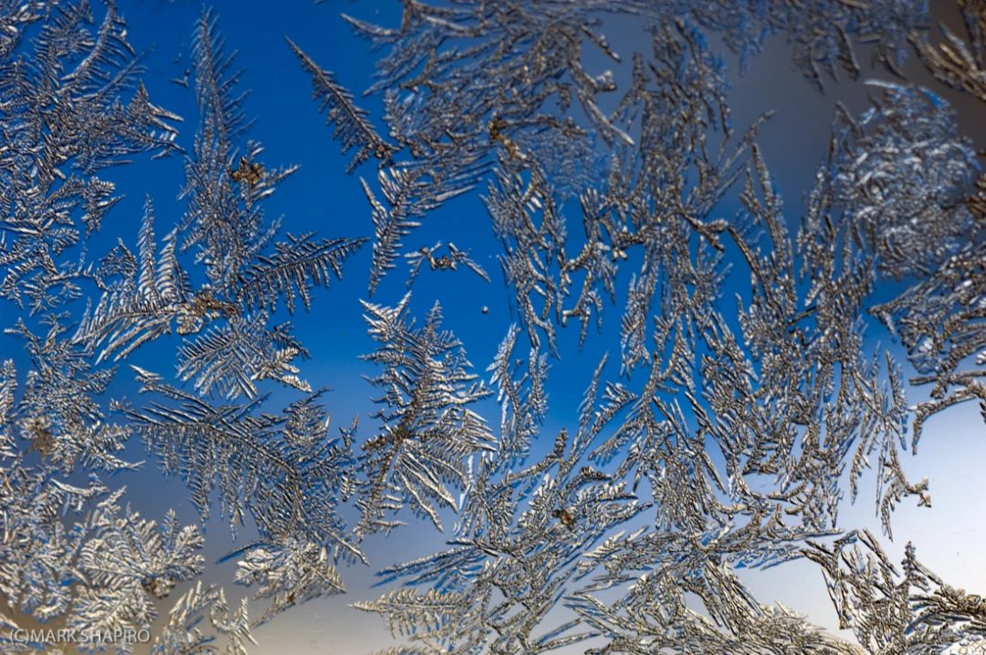 Elements-Window Frost-27
