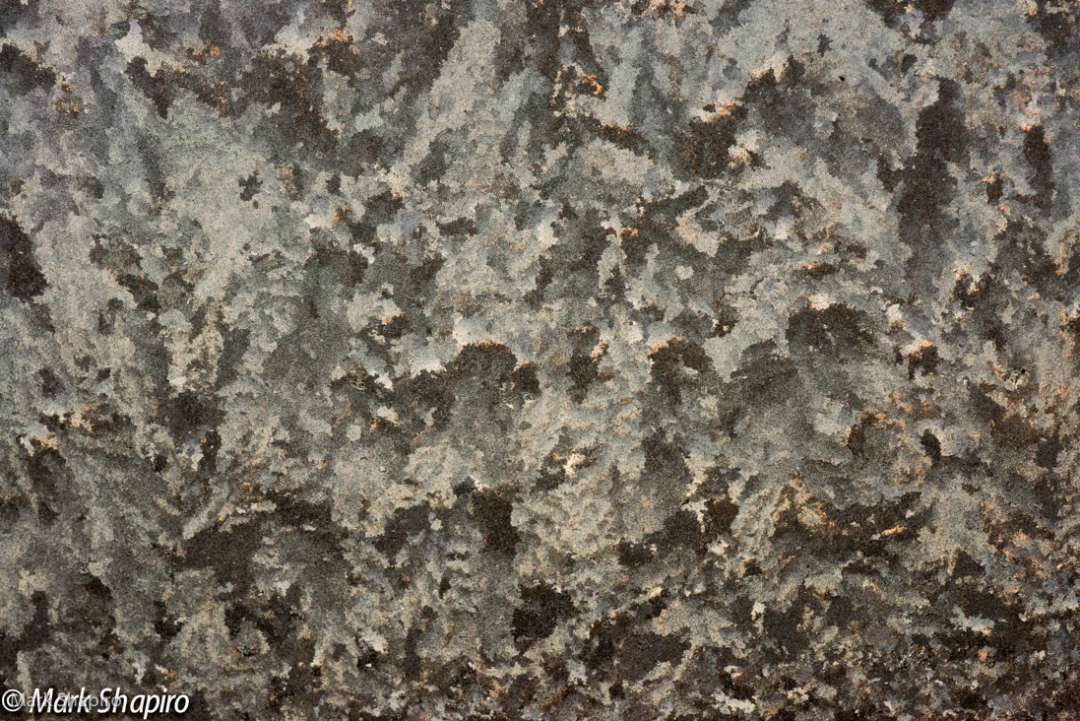 Elements-Window Frost-274