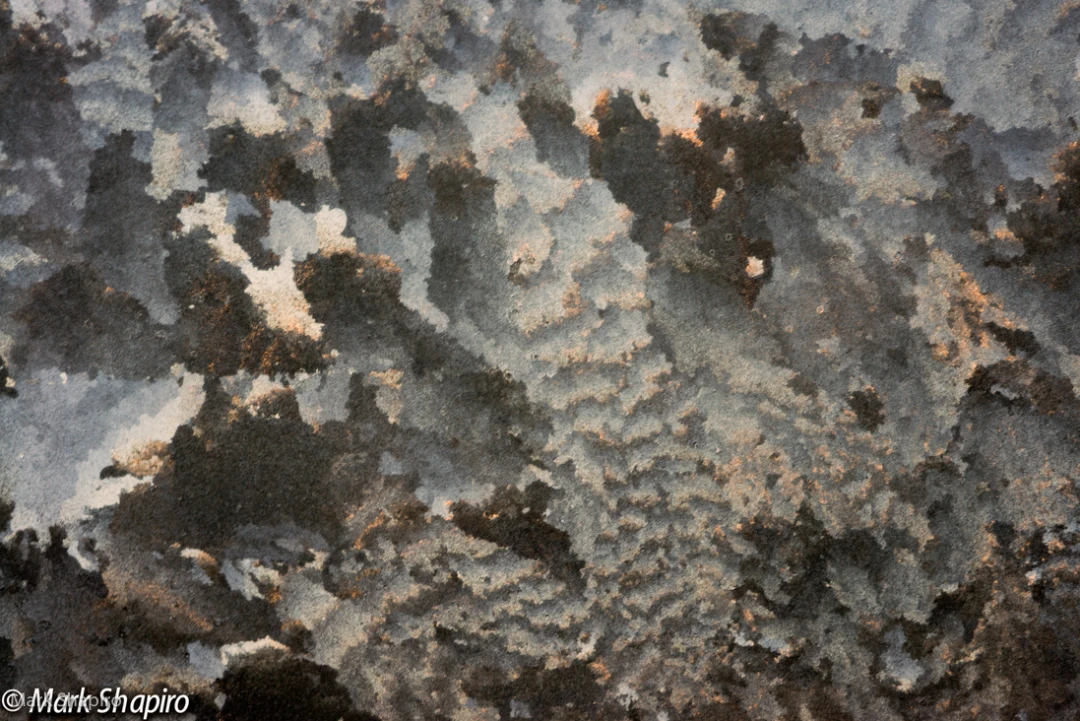 Elements-Window Frost-276