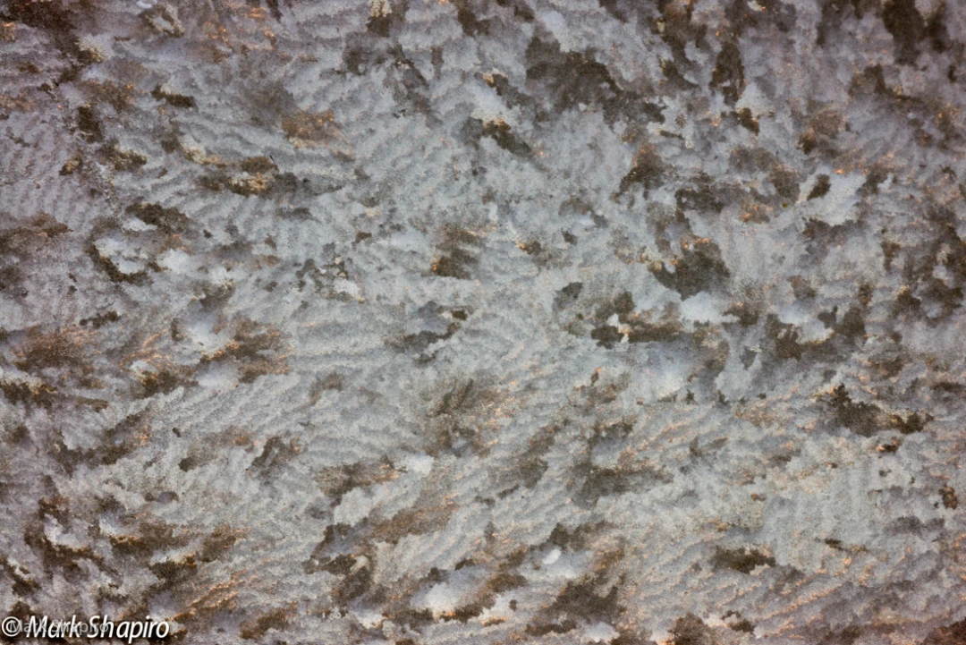 Elements-Window Frost-278