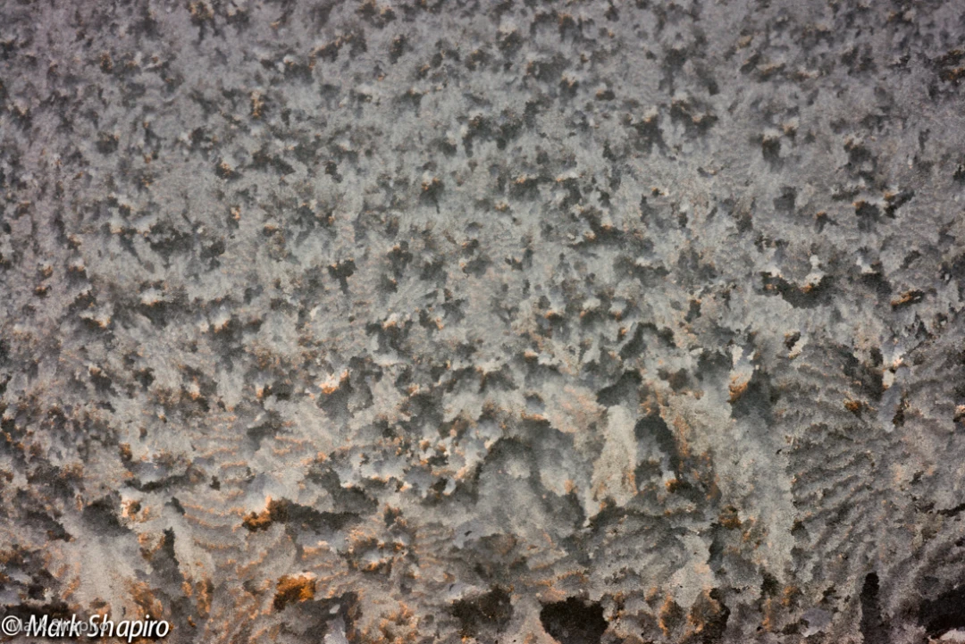 Elements-Window Frost-280